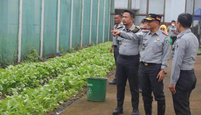 Lapas Cipinang Bina Kemandirian Warga Binaan Lewat Urban Farming