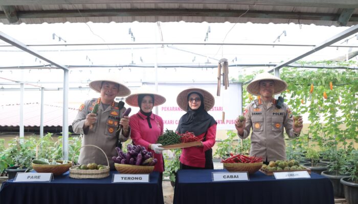 Kapolres Metro Jakarta Pusat Panen Sayur Bersama Bhayangkari di Rooftop Mapolres