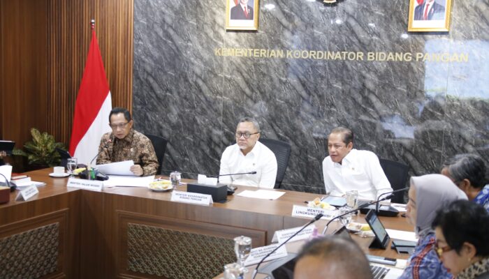 Transformasi Sampah jadi Energi, Mendagri Minta Pemda Serius Dukung PSEL