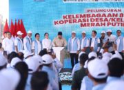 Mendagri Dampingi Presiden Prabowo Luncurkan Kelembagaan 80.000 Kopdeskel Merah Putih