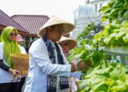 Wali Kota Jakpus Panen Sayur Hidroponik di Rooftop Bersama Deputi Bisnis PT Pegadaian