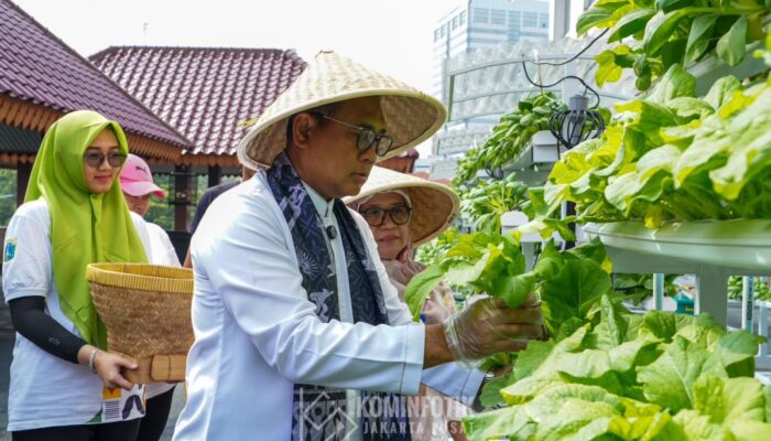 Wali Kota Jakpus Panen Sayur Hidroponik di Rooftop Bersama Deputi Bisnis PT Pegadaian