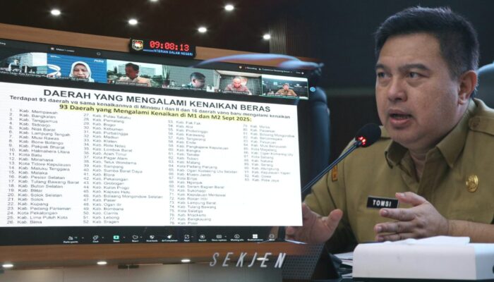 Sekjen Kemendagri Imbau Pemda Tidak Cepat Puas Kendalikan Harga Beras