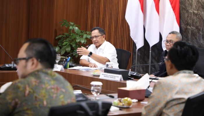 Pada Rakortas Tingkat Menteri, Mendagri Uraikan Peran Pemda Dukung Pelaksanaan Program PSEL