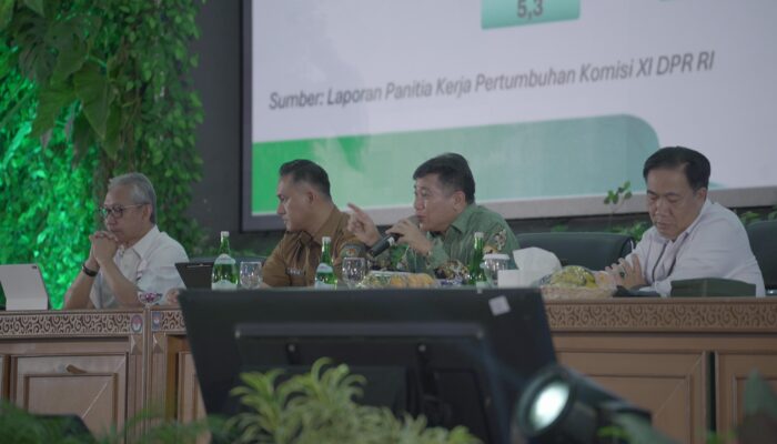 Tumbuhkan Sumber Ekonomi Baru, Pemerintah Dorong Pemda Manfaatkan Potensi Pariwisata Lokal