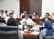 Wamendagri Ribka Imbau Pemda di DOB Papua Pastikan Percepatan Pembangunan KIPP