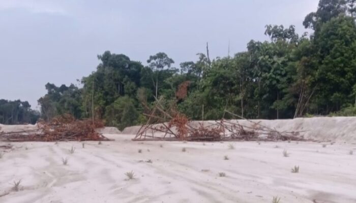 Dua 2 Orang Saksi Menyatakan Kebenaran Lahan Milik Warga Yang Diduga Diserobot Oleh PT.DB