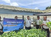 Rutan Buntok Ikuti Panen Raya Serentak Kemenimipas Secara Virtual, Dilanjutkan Panen Ikan Patin dan Sayur