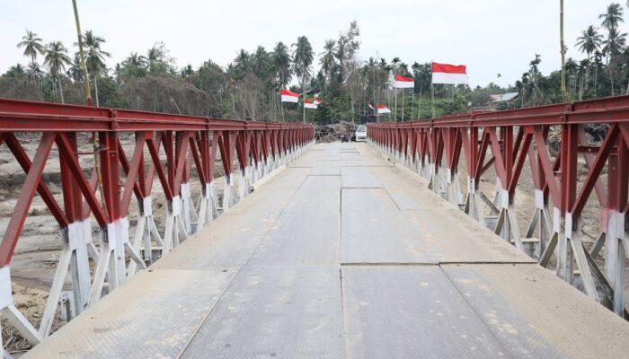 Pulihkan Konektivitas, Perbaikan Jalan dan Jembatan Fungsional Jadi Fokus Satgas PRR