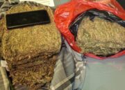 Polda Metro Jaya Menggagalkan Peredaran 3,4 kg Ganja di Wilayah Depok