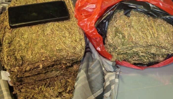 Polda Metro Jaya Menggagalkan Peredaran 3,4 kg Ganja di Wilayah Depok