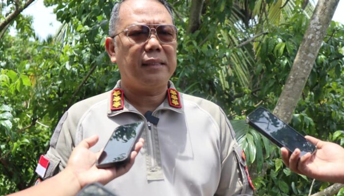 Satgas Damai Cartenz Bongkar Jaringan Pembelian Senjata untuk KKB di Papua, Lima Orang Jadi Tersangka