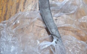 Unit Lantas Cengkareng Amankan Pelaku Curas Bersenjata Tajam di Rawa Buaya