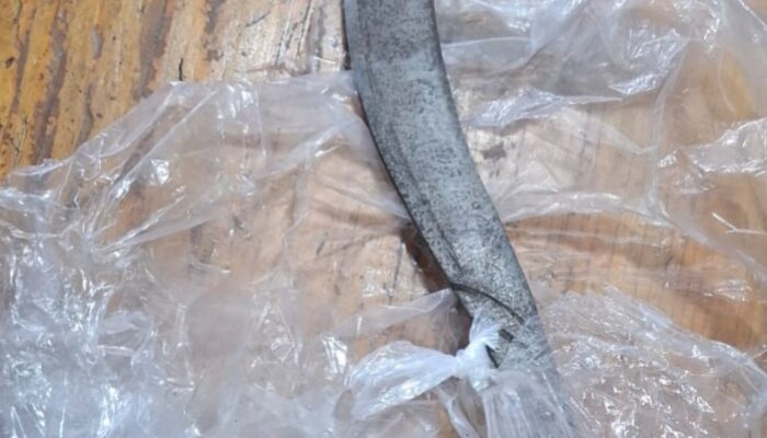 Unit Lantas Cengkareng Amankan Pelaku Curas Bersenjata Tajam di Rawa Buaya