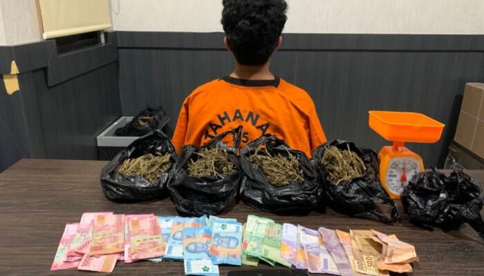 Polda Babel Gerebek Kontrakan Bandar Narkoba Di Pangkalpinang, 410 Gram Ganja Disita