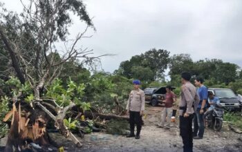 Evakuasi Korban Tertimpa Pohon, Wujud Kesiapsiagaan Personel Polri Dilapangan