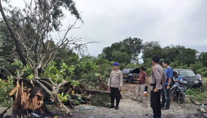 Evakuasi Korban Tertimpa Pohon, Wujud Kesiapsiagaan Personel Polri Dilapangan
