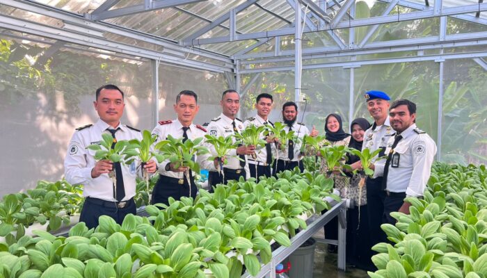 Panen Hidroponik Bapas Tanjungpandan Hasilkan 35 Kg Pakcoy, Dukung Ketahanan Pangan Perkotaan