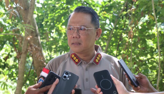 Terduga Anggota KKB Kodap VIII Jatuh ke Tangan Satgas Damai Cartenz