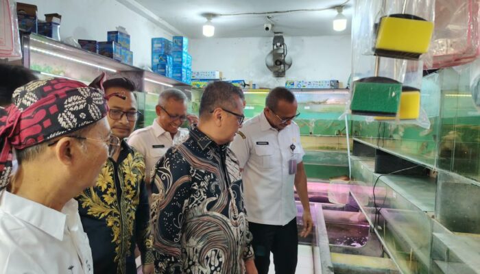 Cengkareng Punya Harta Karun Ikan Hias, Pemprov DKI Dorong Jadi Destinasi Wisata