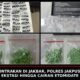 Gerebek Kontrakan di Cengkareng, Polres Jakpus Bongkar Peredaran Sabu, Ekstasi hingga Etomidate